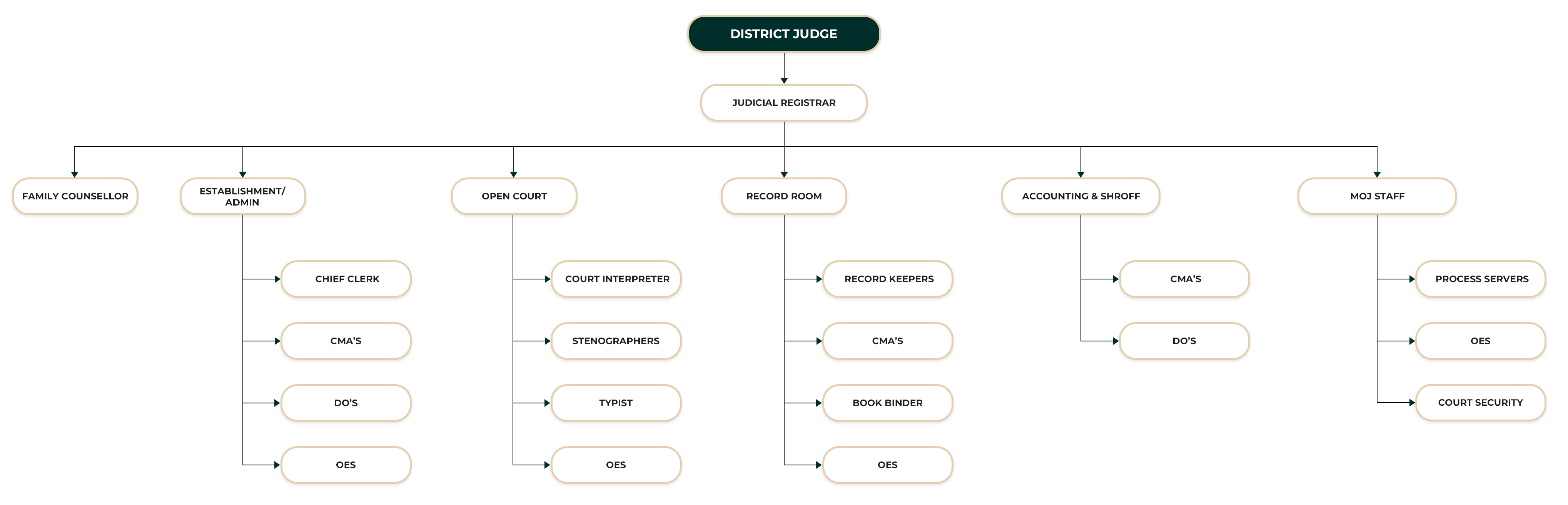 District Court Welisara ORGANIZATIONAL STRUCTURE
